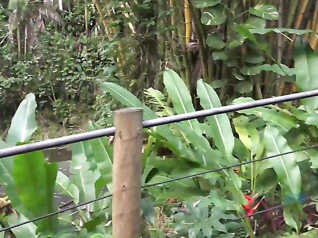 Sex adventures of cute young Melody Marks