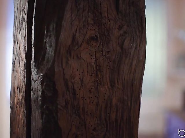 British redhead Lenina Crowne seduces a hotel guest