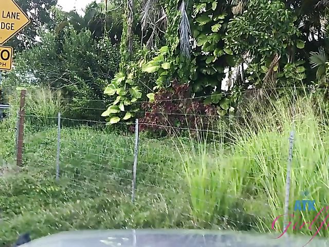 Melody Mark - Naughty girlfriend's sex diary