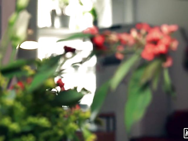 Cute redhead with itty bitty tits Charlie Red rides her roommate's cock