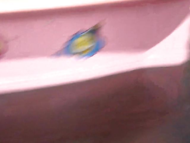 POV date and fuck with super cute Winter Jade 