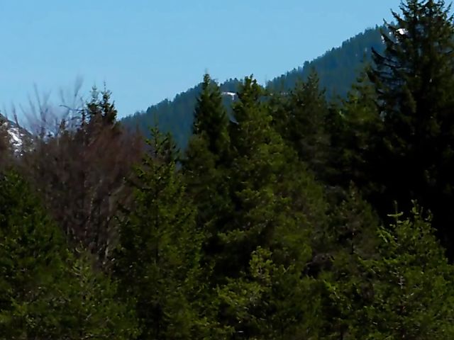 Big tits outdoor fun in the mountains with voluptuous Angel Wicky