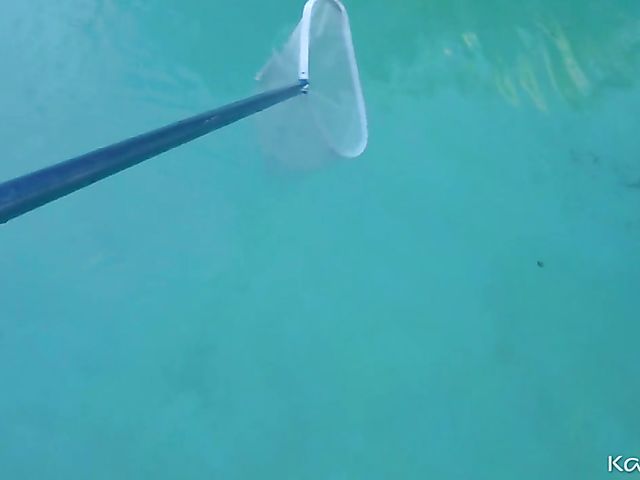 Natana Brooke - Nude stepsister POV session by the pool with her hot brother