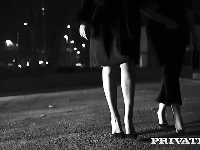 Dark-haired elegant MILF with big hooters Ava Koxxx gets nailed in the club