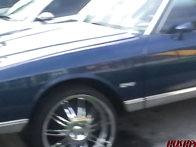 Amateur slut Rachael blows and gets rammed on video