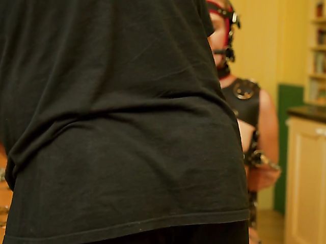 British pony girl Ariel Anderssen gets fed and trained at home