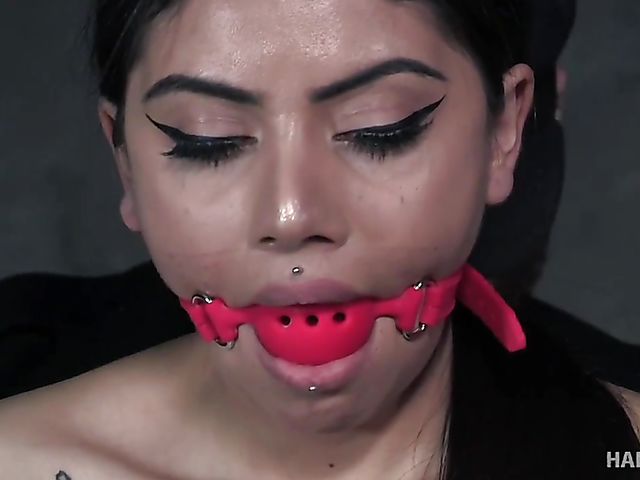 Rope bondage in all its diversity with tattooed girl Rose Darling