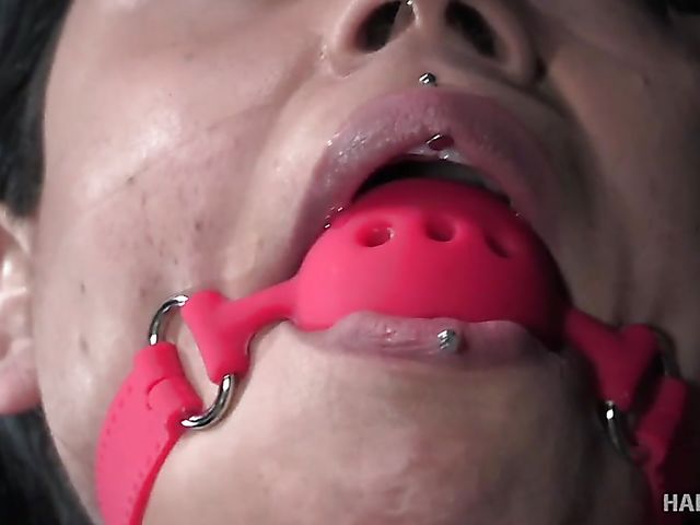 Rope bondage in all its diversity with tattooed girl Rose Darling