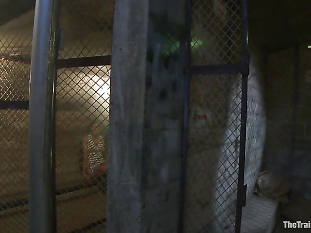 BDSM group slave training with Beretta James and the girls