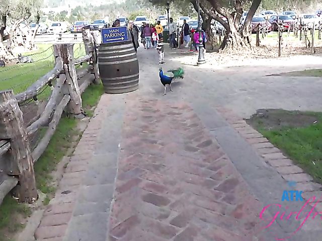 ATK Girlfriends - Paris White traveling and fucking POV