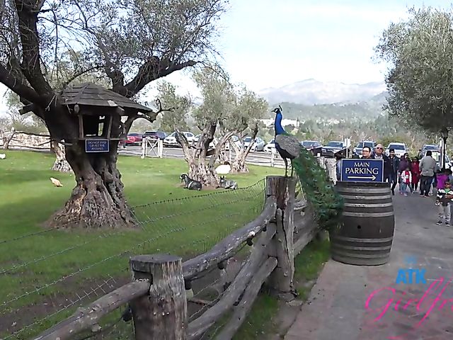 ATK Girlfriends - Paris White traveling and fucking POV