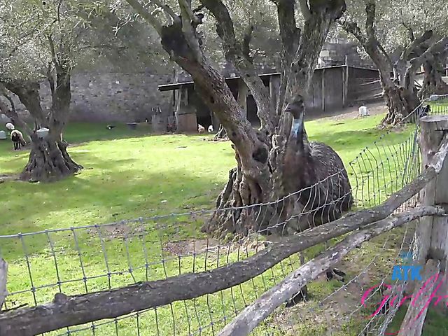 ATK Girlfriends - Paris White traveling and fucking POV