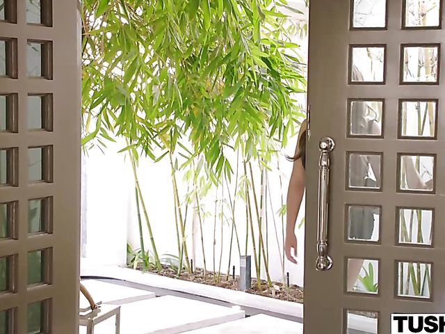 Tushy threesome anal with Haley Reed and Blair Williams