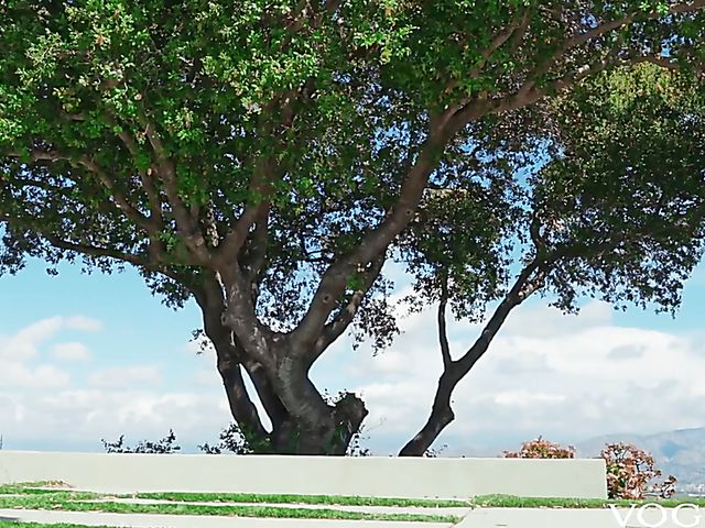 Anal hardcore in white stockings with Adira Allure and Markus Dupree