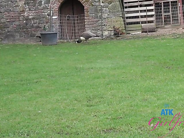 POV GF Paris White is back and gets her pussy poked again