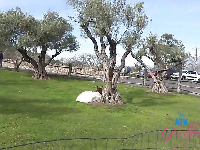 POV GF Paris White is back and gets her pussy poked again