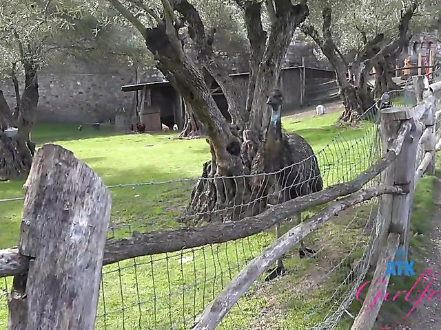 POV GF Paris White is back and gets her pussy poked again