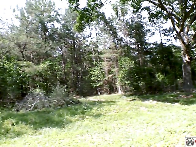 Big titty mom Siren Dee outdoor masturbation in the back of her car