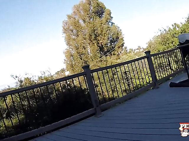 Penny Pax lesbian time in the backyard with Kendra Cole