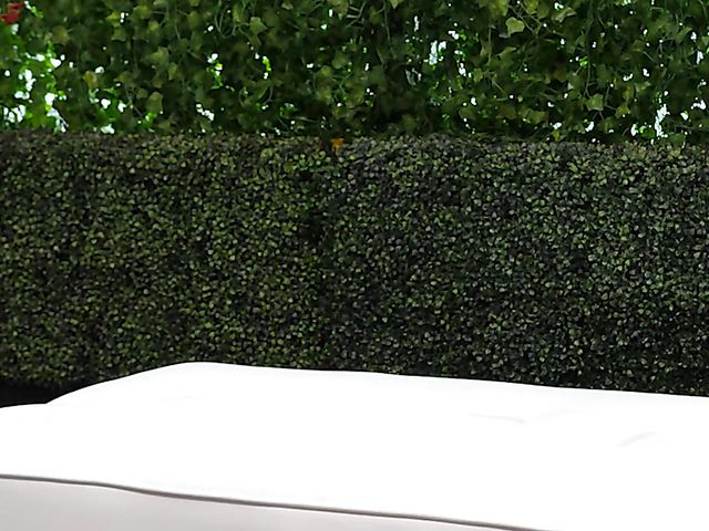 Blowjob casting with skinny new girl Emma