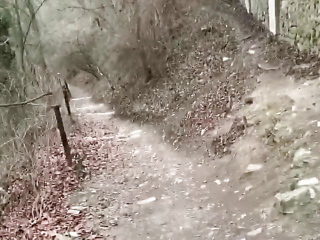 Amateur public blowjob with risky girlfriend Czkrok