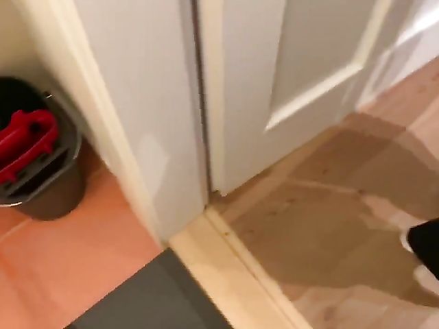 Amateur girlfriend blowjob at home with bracefaced Czkrok