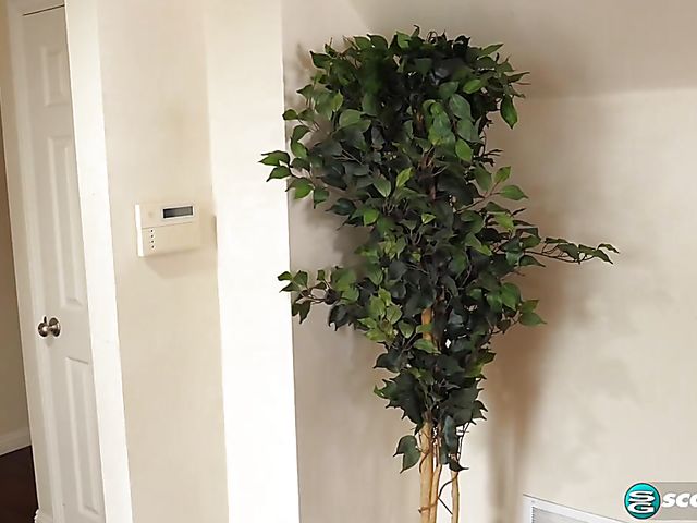 Dee Williams - This big boobs mom has something for him