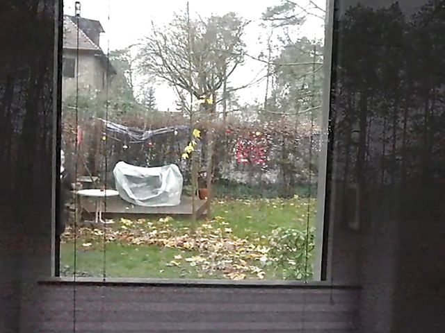 Personal trainers fuck juicy sluts german porn compilation