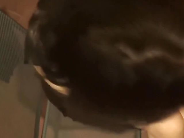 Kinky girlfriend in leather blowjob gloves on