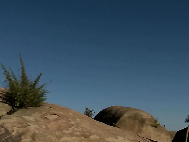 Bree Daniels solo outdoor fun with a magic mountain flower