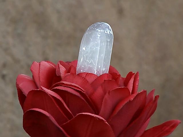 Bree Daniels solo outdoor fun with a magic mountain flower