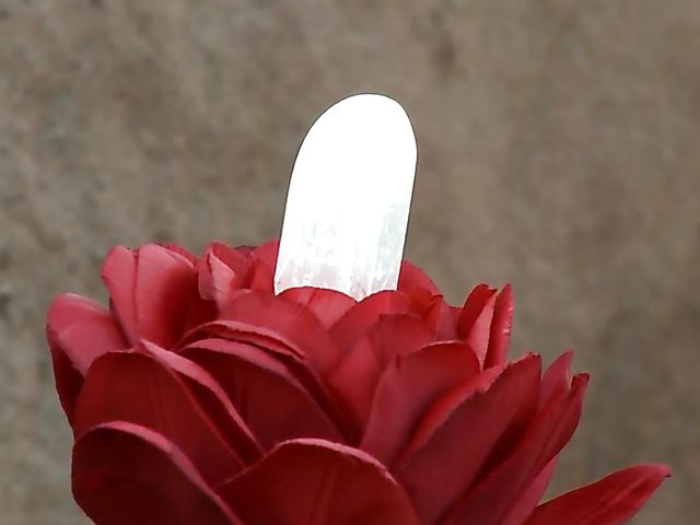 Bree Daniels solo outdoor fun with a magic mountain flower