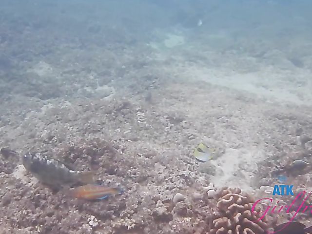 ATK Girlfriends - Aften Opal snorkeling and fucking