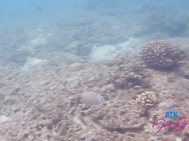 ATK Girlfriends - Aften Opal snorkeling and fucking