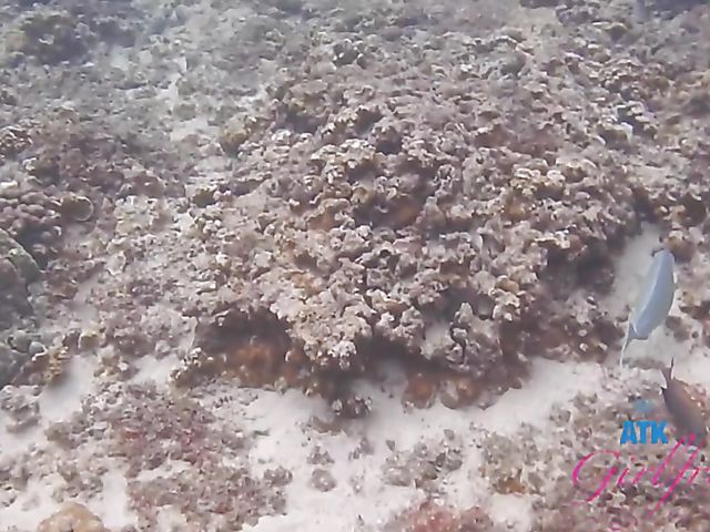 ATK Girlfriends - Aften Opal snorkeling and fucking