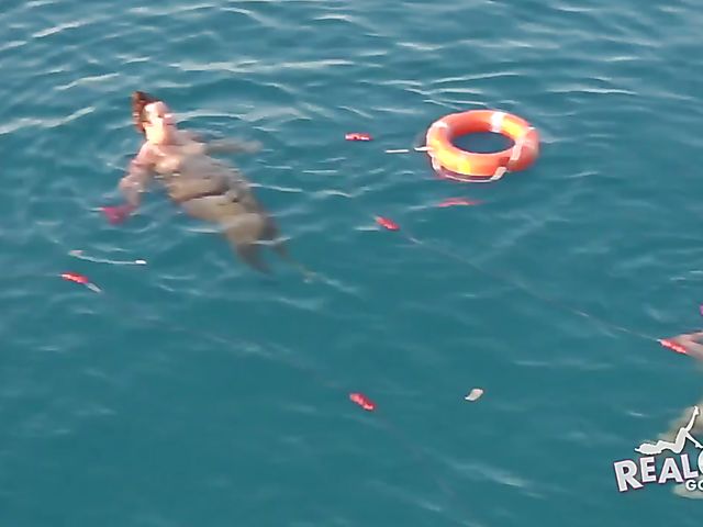 Amateur sex games at Spring Break boat party