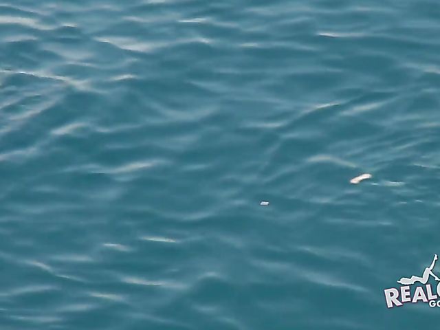 Amateur sex games at Spring Break boat party