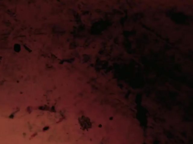 Perverse Family - Mom and daughter lesbian anal fisting