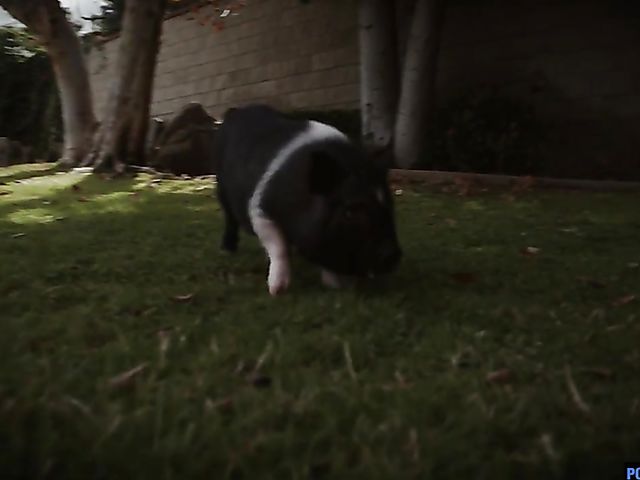 Hardcore flexible fuck in the country with fine ass brunette Davina Davis