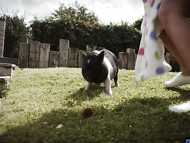 Hardcore flexible fuck in the country with fine ass brunette Davina Davis