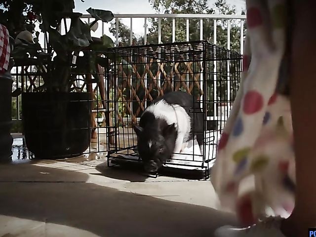 Hardcore flexible fuck in the country with fine ass brunette Davina Davis