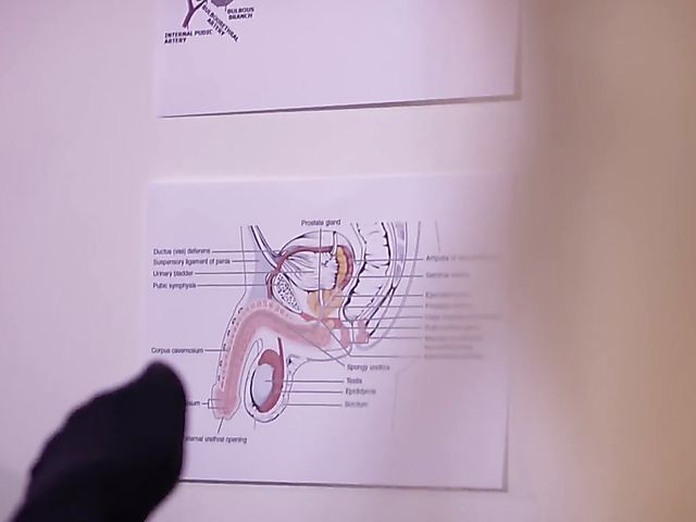 Jenny Wild - Nurse in pantyhose masturbation at work