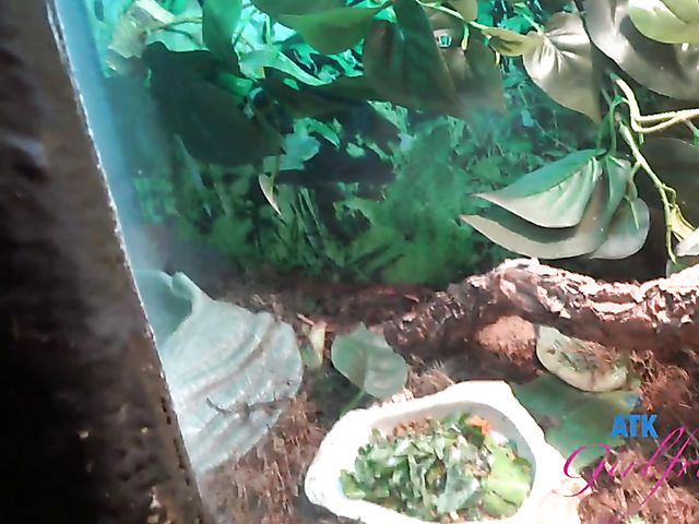 Another day with Paris White and POV sex on cam one more time