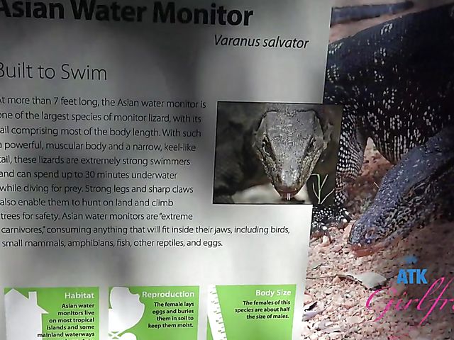 Another day with Paris White and POV sex on cam one more time