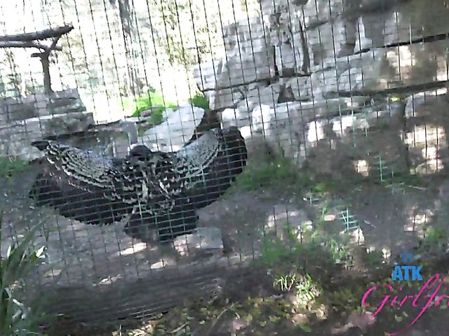 Another day with Paris White and POV sex on cam one more time