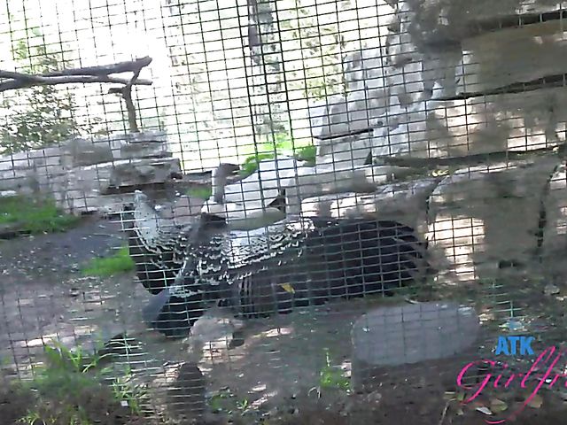 Another day with Paris White and POV sex on cam one more time