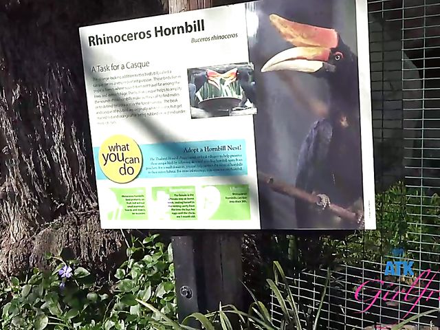 Another day with Paris White and POV sex on cam one more time