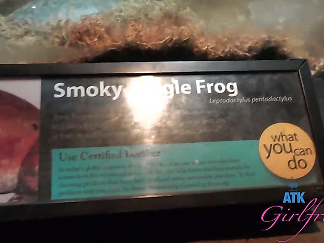 Another day with Paris White and POV sex on cam one more time