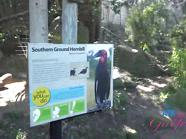 Another day with Paris White and POV sex on cam one more time