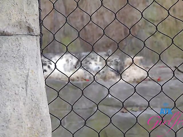 Another day with Paris White and POV sex on cam one more time